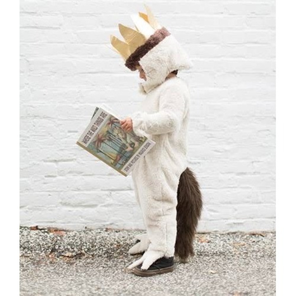 NWT POTTERY BARN KIDS 3T WHERE THE WILD THINGS ARE MAX COSTUME a